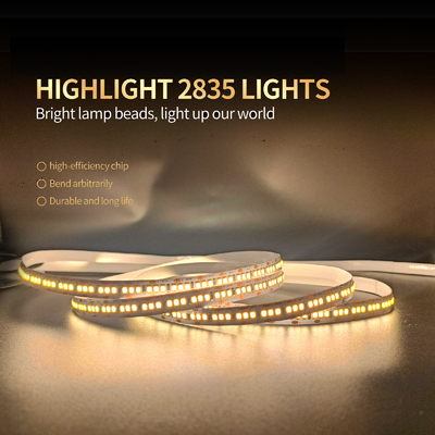 Lumière 120 menée mince flexible de la basse tension 12/24V 2835 de lumière de bande