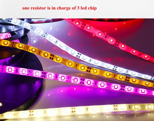 Doublez la lumière de bande dégrossie de SMD 3528 LED 120 LED/M de DC12V/24V de allumage décoratif