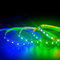 Changement de couleur léger flexible mené de bande de Waterproo de lumières de bande de RVB 5050